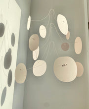 Load image into Gallery viewer, Pink Pilea Pair