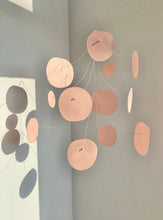 Load image into Gallery viewer, Pink Pilea Pair